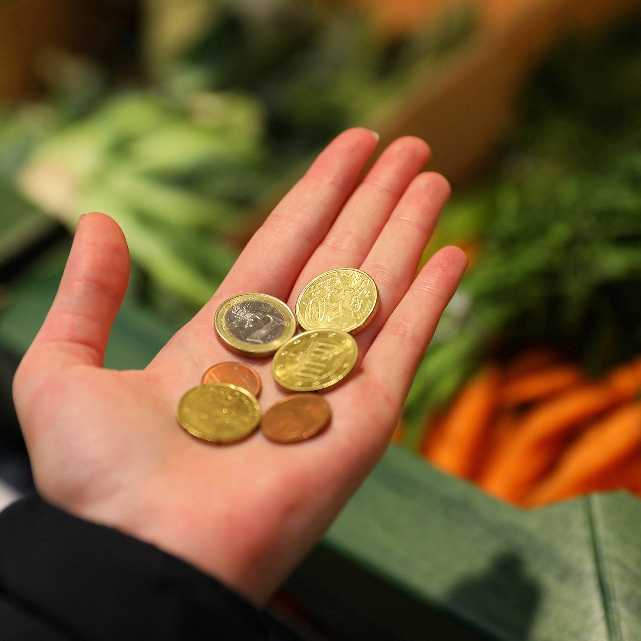 In einer Handfläche über einem Gemüsestand liegen verschiedene Euro-Münzen