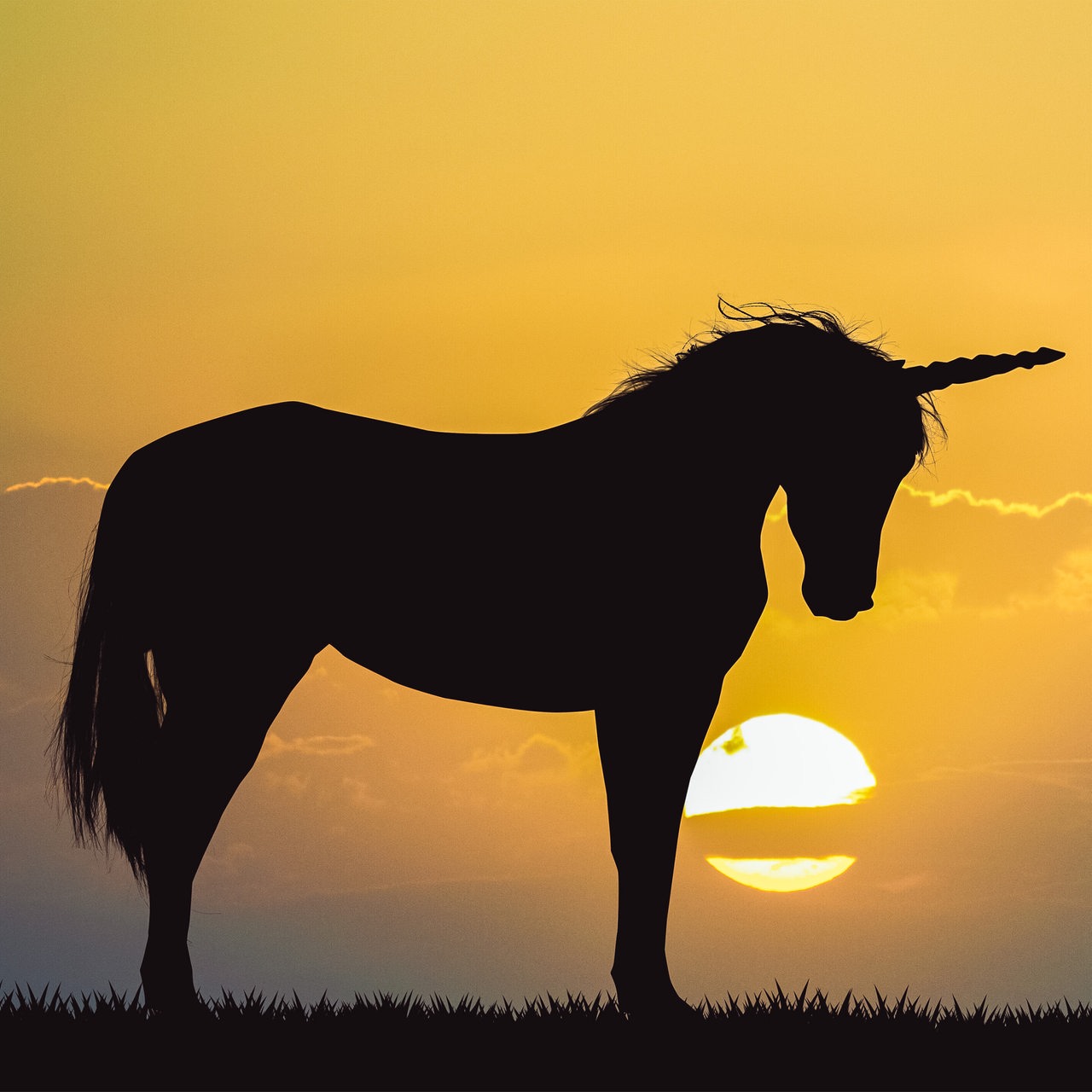 Die schwarze Silhouette eines Einhorns ist im Vordergrund, im Hintergrund ein Sonnenuntergang und vorbeifliegende Vögel.