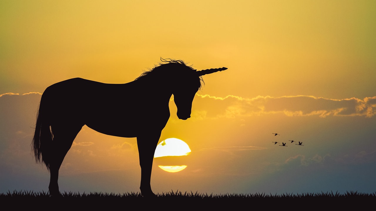 Die schwarze Silhouette eines Einhorns ist im Vordergrund, im Hintergrund ein Sonnenuntergang und vorbeifliegende Vögel.