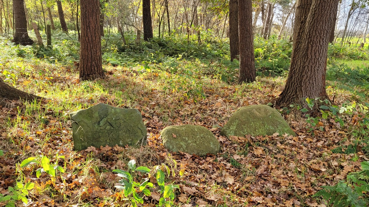 Drei Findlinge liegen im herbstlichen Gelände