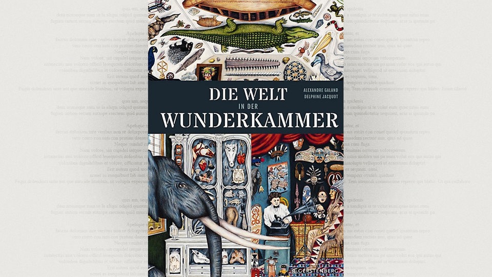 Cover: Alexandre Galand/Delphine Jacquot, Die Welt in der Wunderkammer, Gerstenberg Verlag