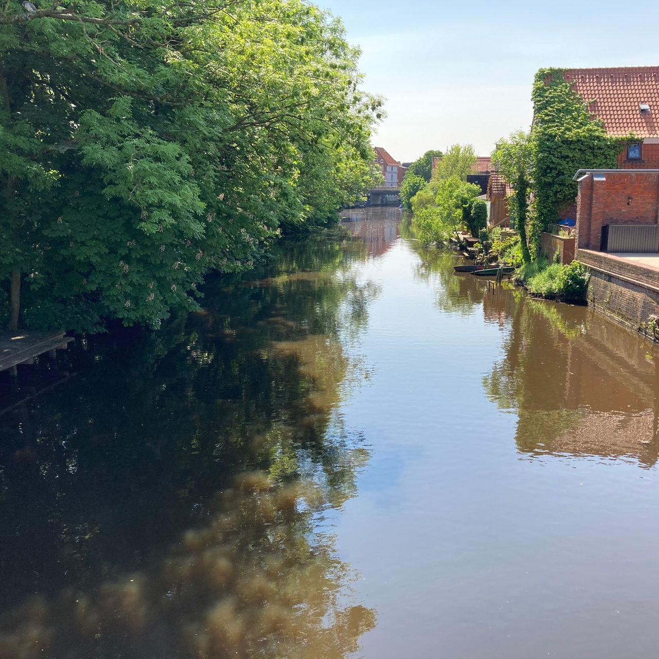 Der Fluss Medem im Sonnenschein