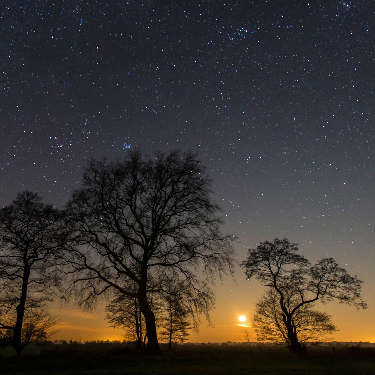 Naturschutzgebiet Boller Moor in der Diepholzer Moorniederung unter Sternenhimmel