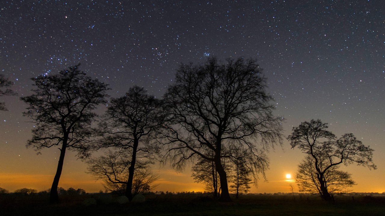 Naturschutzgebiet Boller Moor in der Diepholzer Moorniederung unter Sternenhimmel