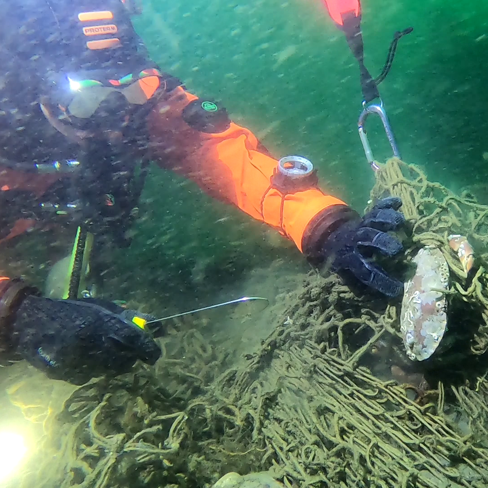 Taucher schneidet ein Fischernetz frei